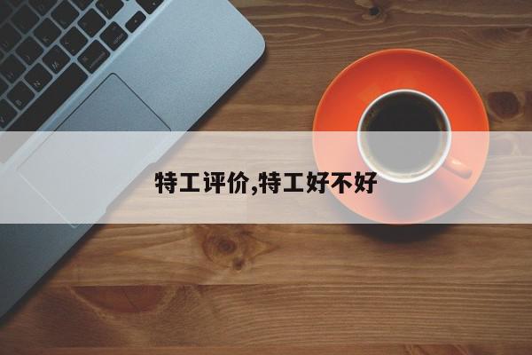 特工评价,特工好不好