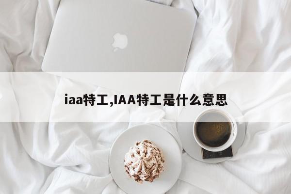 iaa特工,IAA特工是什么意思
