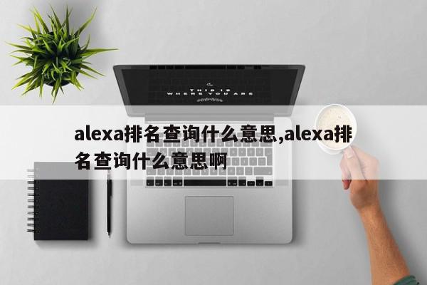 alexa排名查询什么意思,alexa排名查询什么意思啊
