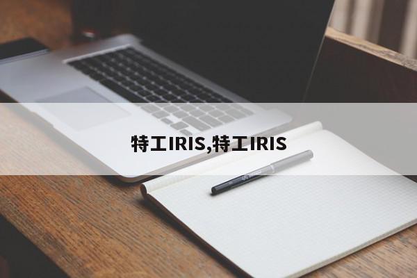 特工IRIS,特工IRIS